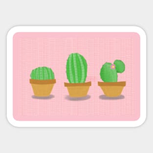 3 little cacti Sticker